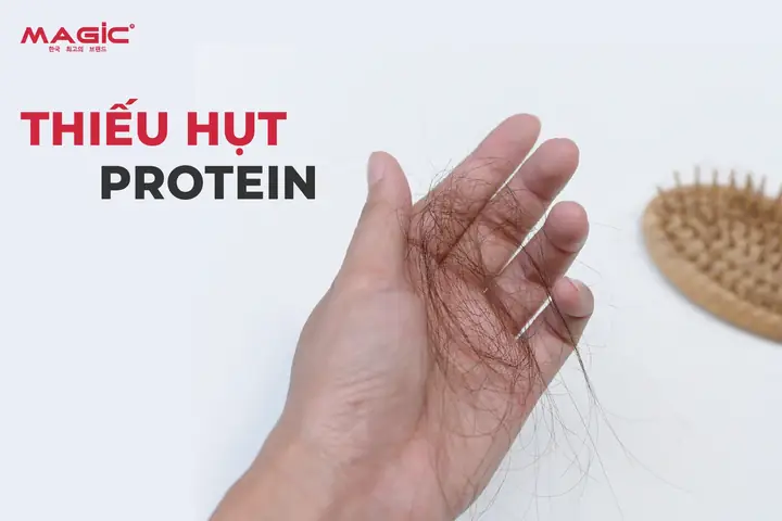 Máy Sấy Tóc Có Làm Rụng Tóc Không? Cẩm Nang Sử Dụng An Toàn