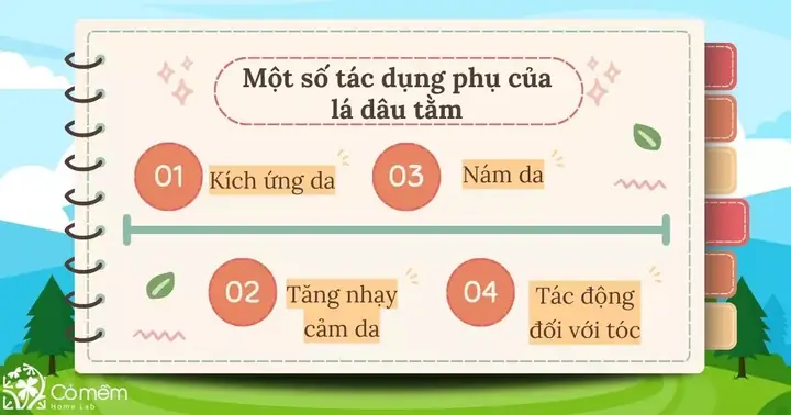 Lá Dâu Tằm: Bí Quyết Tự Nhiên Cho Mái Tóc Đen Mượt, Chắc Khỏe Và Ngăn Ngừa Bạc Sớm Lá Dâu Tằm: Bí Quyết Tự Nhiên Cho Mái Tóc Đen Mượt, Chắc Khỏe Và Ngăn Ngừa Bạc Sớm