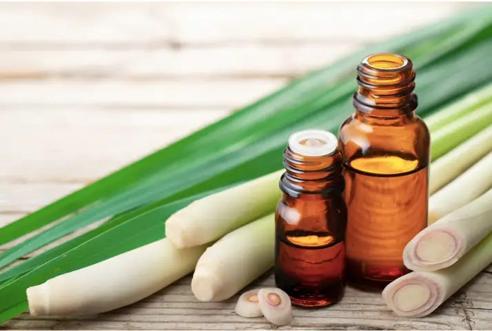 Tác Dụng Tuyệt Vời Của Sả Đối Với Tóc: Bí Quyết Dưỡng Tóc Chắc Khỏe, Suôn Mượt Tự Nhiên