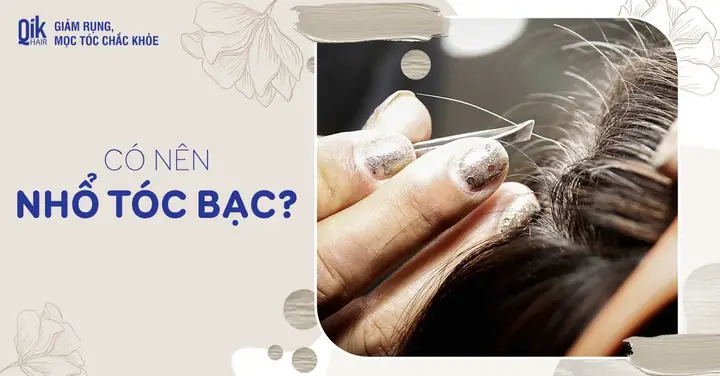 Tác Hại Của Việc Nhổ Tóc Bạc: Những Nguy Cơ Tiềm Ẩn & Giải Pháp Thay Thế Tác Hại Của Việc Nhổ Tóc Bạc: Những Nguy Cơ Tiềm Ẩn & Giải Pháp Thay Thế