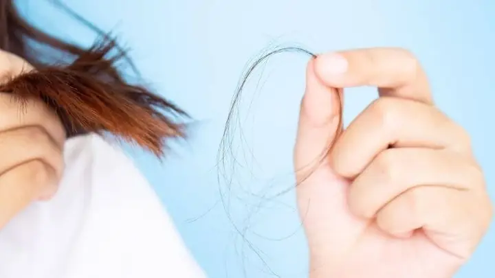 Tại Sao Tóc Dễ Gãy Rụng? Nguyên Nhân & Cách Phục Hồi Tóc Hiệu Quả Tại Sao Tóc Dễ Gãy Rụng? Nguyên Nhân & Cách Phục Hồi Tóc Hiệu Quả
