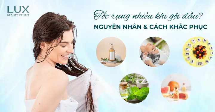 Tại Sao Tóc Rụng Nhiều Khi Gội Đầu? Nguyên Nhân & Cách Khắc Phục Hiệu Quả Tại Sao Tóc Rụng Nhiều Khi Gội Đầu? Nguyên Nhân & Cách Khắc Phục Hiệu Quả