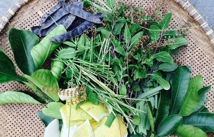 Top 10 Thảo Dược Giúp Tóc Mọc Nhanh & Dày Hiệu Quả Nhất Hiện Nay