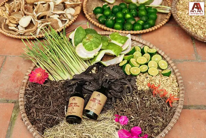 Top 10 Thảo Dược Kích Thích Mọc Tóc Tự Nhiên Hiệu Quả Nhất Top 10 Thảo Dược Kích Thích Mọc Tóc Tự Nhiên Hiệu Quả Nhất