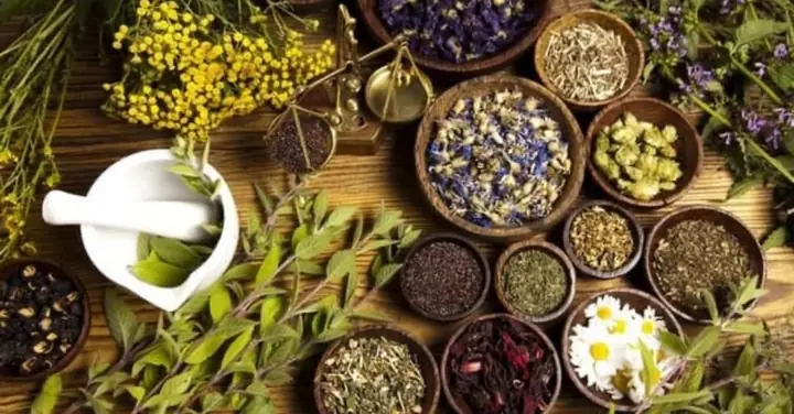 Top 10 Thảo Dược Tốt Cho Tóc: Bí Quyết Cho Mái Tóc Suôn Mượt, Chắc Khỏe & Mọc Dày Nhanh