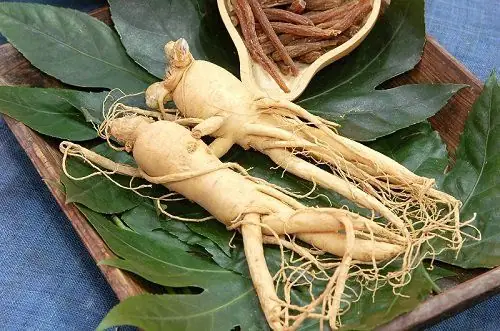 Top 10 Thảo Dược Tốt Cho Tóc: Bí Quyết Cho Mái Tóc Suôn Mượt, Chắc Khỏe & Mọc Dày Nhanh