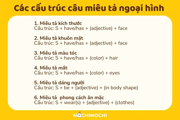 Thứ Tự Mô Tả Tóc Tiếng Anh: Từ Vựng Đầy Đủ & Cách Dùng Chuẩn