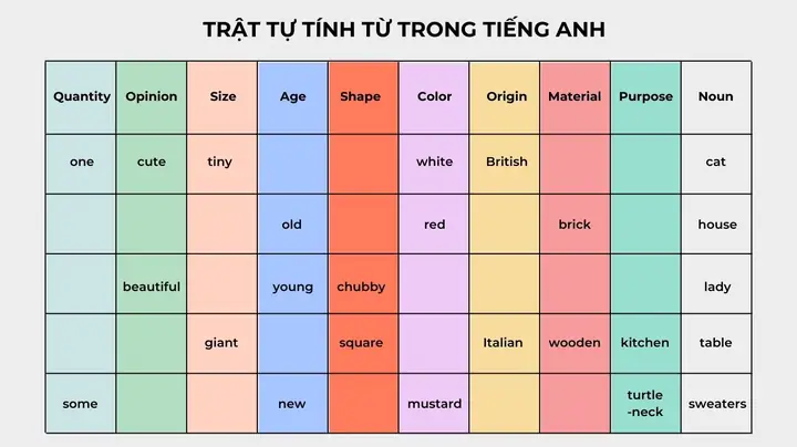 Thứ Tự Mô Tả Tóc Tiếng Anh: Từ Vựng Đầy Đủ & Cách Dùng Chuẩn