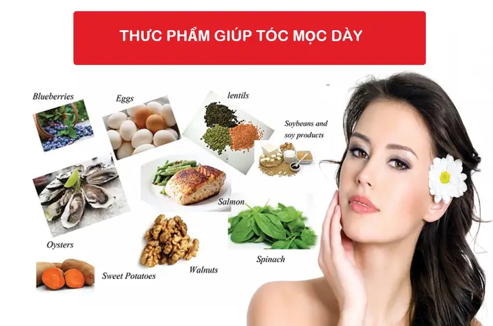 Top 10 Thực Phẩm Giúp Tóc Mọc Dày Nhanh Và Chắc Khỏe Tự Nhiên Top 10 Thực Phẩm Giúp Tóc Mọc Dày Nhanh Và Chắc Khỏe Tự Nhiên