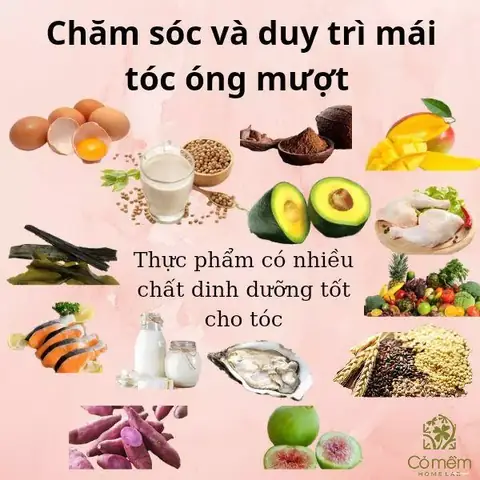 Top 10+ Thực Phẩm Giúp Tóc Mọc Nhanh Và Dày Khỏe Tự Nhiên