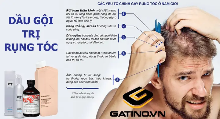 Thuốc Chống Rụng Tóc Cho Nam: Lựa Chọn Tối Ưu Giúp Mái Tóc Dày, Chắc Khỏe Thuốc Chống Rụng Tóc Cho Nam: Lựa Chọn Tối Ưu Giúp Mái Tóc Dày, Chắc Khỏe