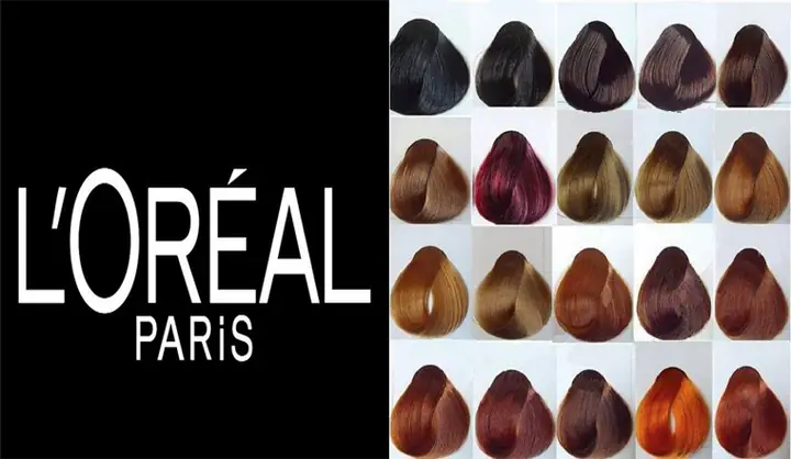 Thuốc Nhuộm Tóc L'oréal Màu Nâu Lạnh: Bí Quyết Sở Hữu Mái Tóc Chuẩn Xu Hướng