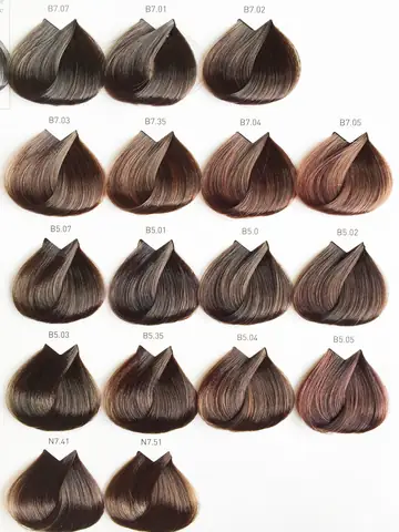 Thuốc Nhuộm Tóc L'oréal Màu Nâu Lạnh: Bí Quyết Sở Hữu Mái Tóc Chuẩn Xu Hướng
