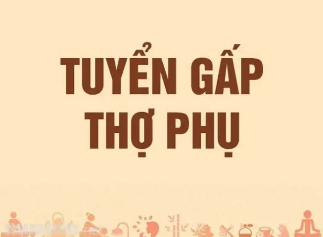 Tìm Việc Làm Thợ Phụ Tóc: Cơ Hội, Lương & Yêu Cầu Mới Nhất 2026