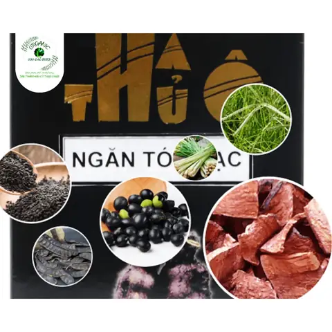 Tinh Chất Hà Thủ Ô Ngăn Bạc Tóc: Giải Pháp Tự Nhiên Hiệu Quả & Bí Quyết Sử Dụng Đúng Cách