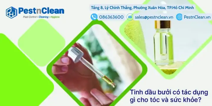 Tinh Dầu Bưởi Có Tác Dụng Gì Cho Tóc? Hướng Dẫn Sử Dụng Hiệu Quả