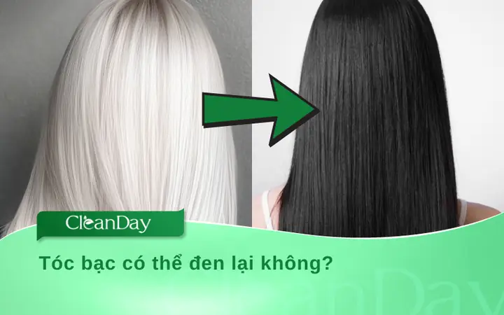 Tóc Bạc Có Đen Lại Được Không? Nguyên Nhân Và Cách Khắc Phục Hiệu Quả Tóc Bạc Có Đen Lại Được Không? Nguyên Nhân Và Cách Khắc Phục Hiệu Quả
