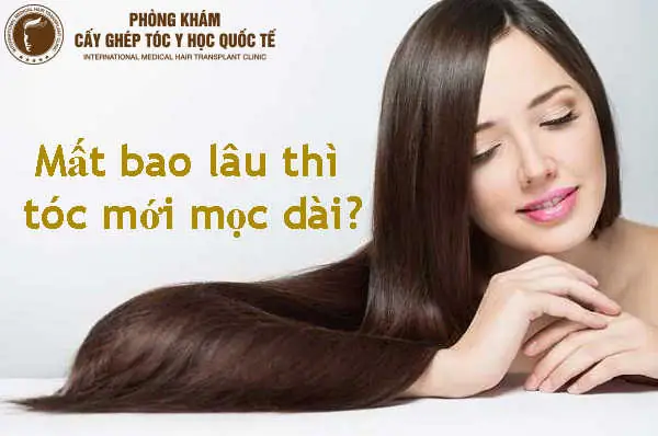 Tóc Mọc Bao Lâu Thì Dài? Giải Đáp Khoa Học & Bí Quyết Kích Thích Tóc Mọc Nhanh Tóc Mọc Bao Lâu Thì Dài? Giải Đáp Khoa Học & Bí Quyết Kích Thích Tóc Mọc Nhanh