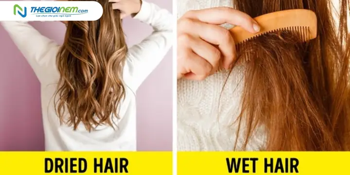 Tóc Bị Dựng Khi Ngủ Dậy: Nguyên Nhân & Cách Khắc Phục Hiệu Quả Chỉ Trong Vài Bước