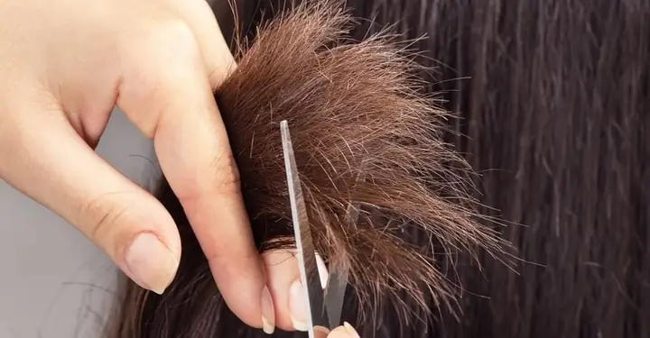 Tóc Chẻ Ngọn Có Nên Cắt Không? Giải Đáp Toàn Diện & Cách Phục Hồi Hiệu Quả Tóc Chẻ Ngọn Có Nên Cắt Không? Giải Đáp Toàn Diện & Cách Phục Hồi Hiệu Quả