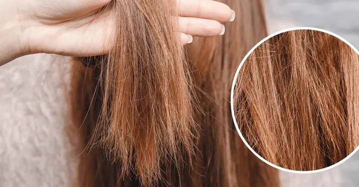Tóc Chẻ Ngọn Có Nên Cắt Không? Giải Đáp Toàn Diện & Cách Phục Hồi Hiệu Quả Tóc Chẻ Ngọn Có Nên Cắt Không? Giải Đáp Toàn Diện & Cách Phục Hồi Hiệu Quả