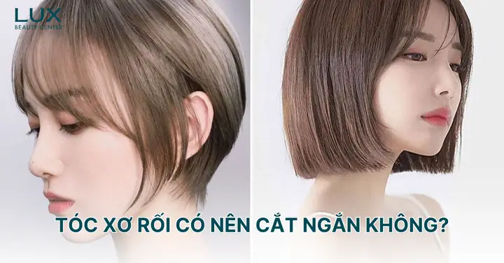 Tóc Chẻ Ngọn Có Nên Cắt Không? Giải Đáp Toàn Diện & Cách Phục Hồi Hiệu Quả Tóc Chẻ Ngọn Có Nên Cắt Không? Giải Đáp Toàn Diện & Cách Phục Hồi Hiệu Quả