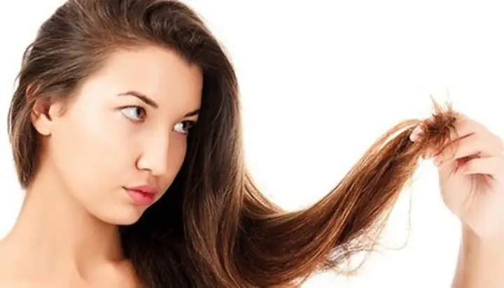 Tóc Và Lông: Phân Biệt Giống Và Khác Nhau Về Định Nghĩa, Cấu Trúc & Chức Năng Tóc Và Lông: Phân Biệt Giống Và Khác Nhau Về Định Nghĩa, Cấu Trúc & Chức Năng