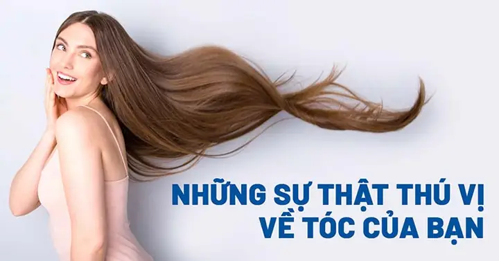 Tóc Và Lông: Phân Biệt Giống Và Khác Nhau Về Định Nghĩa, Cấu Trúc & Chức Năng Tóc Và Lông: Phân Biệt Giống Và Khác Nhau Về Định Nghĩa, Cấu Trúc & Chức Năng
