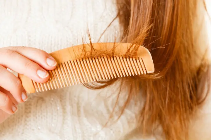 Tóc Và Lông: Phân Biệt Giống Và Khác Nhau Về Định Nghĩa, Cấu Trúc & Chức Năng