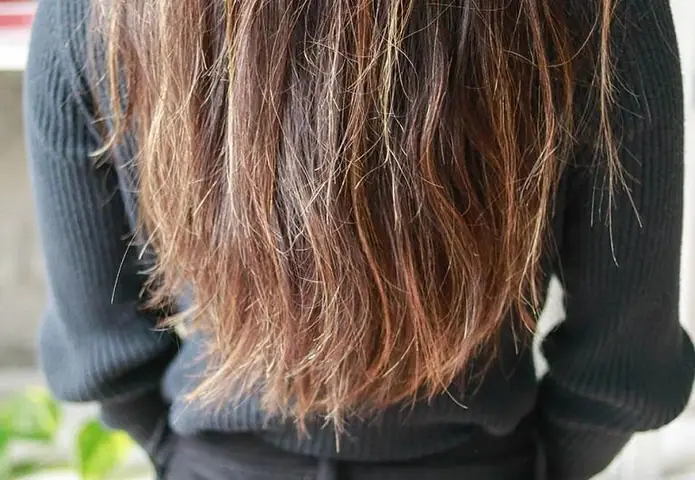 Tóc Gãy Rụng, Chẻ Ngọn: Nguyên Nhân, Cách Khắc Phục & Phòng Ngừa Hiệu Quả Tại Nhà Tóc Gãy Rụng, Chẻ Ngọn: Nguyên Nhân, Cách Khắc Phục & Phòng Ngừa Hiệu Quả Tại Nhà