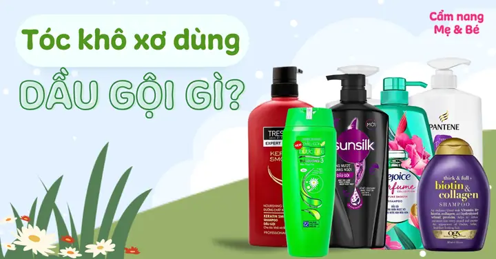 Top Dầu Gội Phục Hồi Tóc Hư Tổn Hiệu Quả Nhất Dành Cho Bạn Top Dầu Gội Phục Hồi Tóc Hư Tổn Hiệu Quả Nhất Dành Cho Bạn