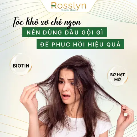 Dầu Xả Nào Cho Tóc Khô Xơ Tốt Nhất? Top 10 Lựa Chọn Phục Hồi Mềm Mượt Dầu Xả Nào Cho Tóc Khô Xơ Tốt Nhất? Top 10 Lựa Chọn Phục Hồi Mềm Mượt