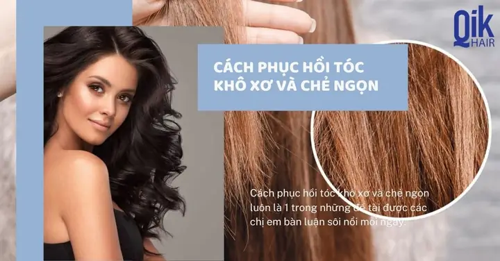 Tóc Khô Xơ Phải Làm Sao? 7+ Cách Phục Hồi Tóc Mềm Mượt Tự Nhiên Tại Nhà