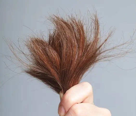 Tóc Khô Xơ Phải Làm Sao? Bí Quyết Phục Hồi Tóc Mềm Mượt Tự Nhiên Tại Nhà
