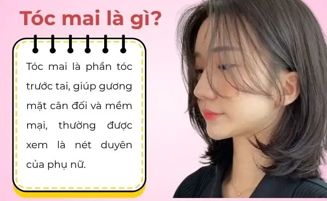 Tóc Mai Là Tóc Gì? Ý Nghĩa Và Cách Chăm Sóc Cho Nét Đẹp Hoàn Hảo Tóc Mai Là Tóc Gì? Ý Nghĩa Và Cách Chăm Sóc Cho Nét Đẹp Hoàn Hảo