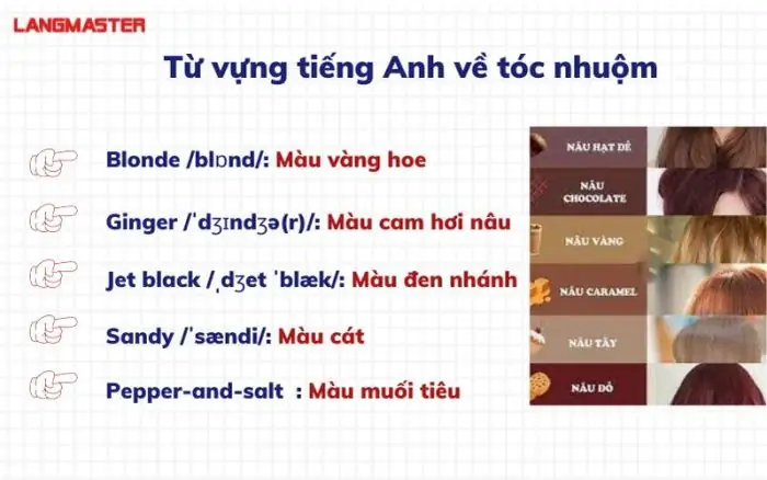 Tóc Vàng Hoe Tiếng Anh Là Gì? Hướng Dẫn Chi Tiết & Dịch Chuẩn Tóc Vàng Hoe Tiếng Anh Là Gì? Hướng Dẫn Chi Tiết & Dịch Chuẩn
