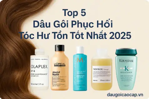 Top Dầu Gội Phục Hồi Tóc Hư Tổn Tốt Nhất: Bí Quyết Tái Sinh Mái Tóc Chắc Khỏe, Mượt Mà