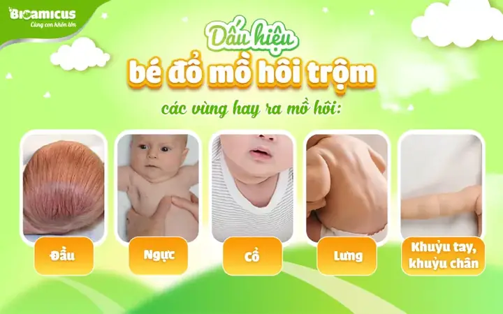 Trẻ Rụng Tóc Vành Khăn Kèm Ra Mồ Hôi Trộm: Dấu Hiệu Còi Xương Hay Thiếu Chất? Trẻ Rụng Tóc Vành Khăn Kèm Ra Mồ Hôi Trộm: Dấu Hiệu Còi Xương Hay Thiếu Chất?