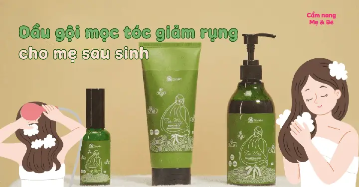Trị Gàu & Rụng Tóc Sau Sinh: Bí Quyết Phục Hồi Tóc Chắc Khỏe Cho Mẹ Bỉm