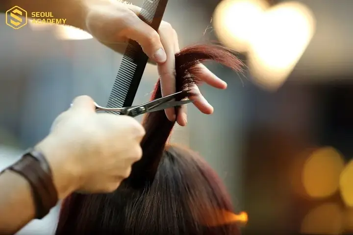 Trước Khi Thi Có Nên Cắt Tóc Không? Lời Giải Đáp Chi Tiết & Quan Niệm Dân Gian