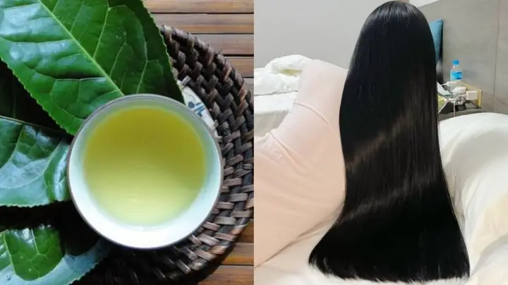9+ Cách Ủ Tóc Bằng Chè Xanh: Bí Quyết Giúp Tóc Chắc Khỏe, Giảm Rụng Tự Nhiên 9+ Cách Ủ Tóc Bằng Chè Xanh: Bí Quyết Giúp Tóc Chắc Khỏe, Giảm Rụng Tự Nhiên