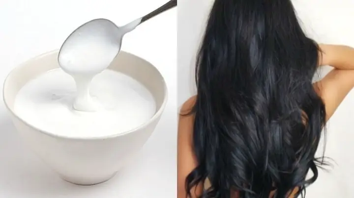 Ủ Tóc Bằng Sữa Chua Có Đường Được Không? Hướng Dẫn Chi Tiết Từ A-z