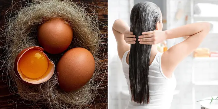 Ủ Tóc Bằng Lòng Trắng Trứng Gà: Bí Quyết Tóc Mềm Mượt, Chắc Khỏe Tự Nhiên Ủ Tóc Bằng Lòng Trắng Trứng Gà: Bí Quyết Tóc Mềm Mượt, Chắc Khỏe Tự Nhiên