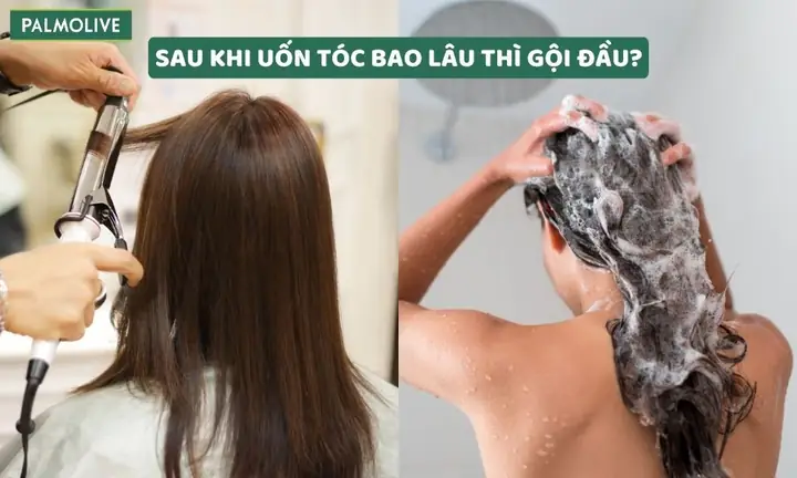 Uốn Tóc Bao Lâu Thì Gội Đầu Đúng Cách Để Giữ Nếp & Tóc Khỏe?