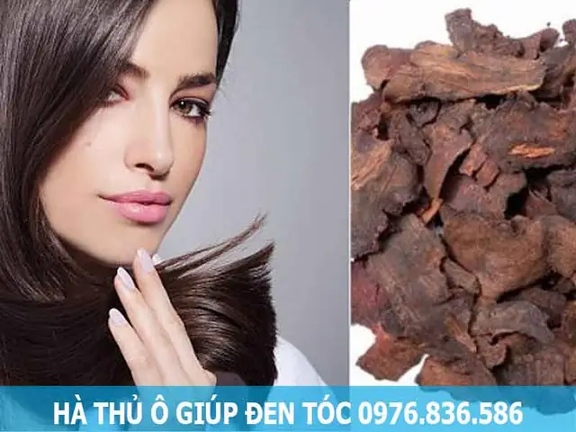 Uống Hà Thủ Ô Bao Lâu Thì Đen Tóc? Bí Quyết Sử Dụng Hiệu Quả