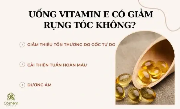 Uống Vitamin E Có Giảm Rụng Tóc Không? Lợi Ích Và Lưu Ý Cần Biết Uống Vitamin E Có Giảm Rụng Tóc Không? Lợi Ích Và Lưu Ý Cần Biết