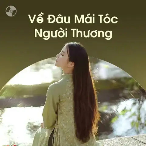 Về Đâu Mái Tóc Người Thương Cẩm Ly: Ý Nghĩa, Lời Bài Hát & Nguồn Gốc Sâu Sắc