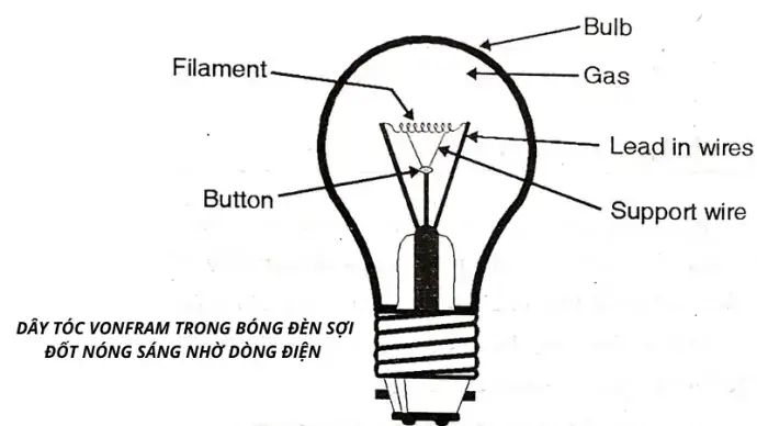 Vì Sao Dây Tóc Bóng Đèn Sợi Đốt Luôn Làm Bằng Vonfram? Khám Phá Bí Mật Khoa Học Vì Sao Dây Tóc Bóng Đèn Sợi Đốt Luôn Làm Bằng Vonfram? Khám Phá Bí Mật Khoa Học
