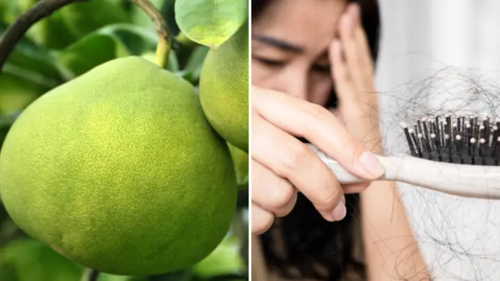 Vỏ Bưởi Trị Rụng Tóc: Bí Quyết Tự Nhiên Cho Mái Tóc Chắc Khỏe