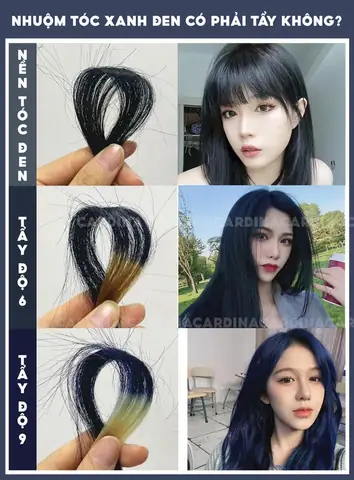 Nhuộm Tóc Màu Xanh Đen Có Cần Tẩy Tóc Không? Giải Đáp Chi Tiết Từ Chuyên Gia